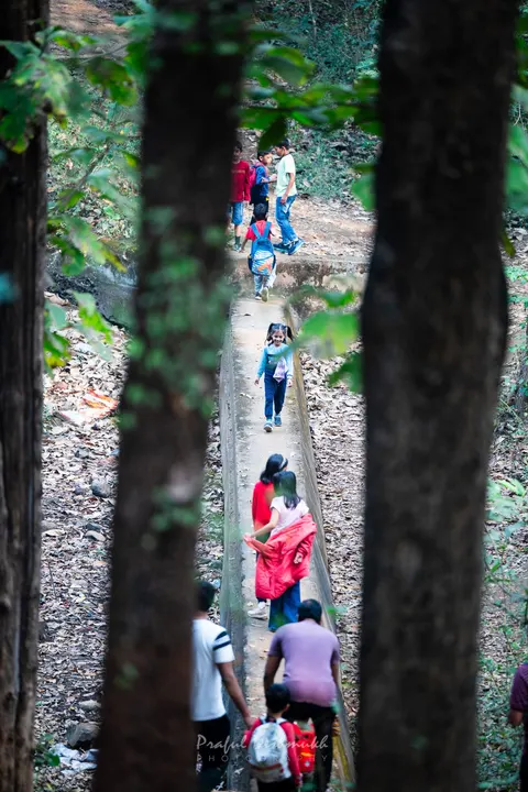Nature Connect