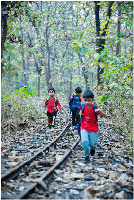 EcoSteps