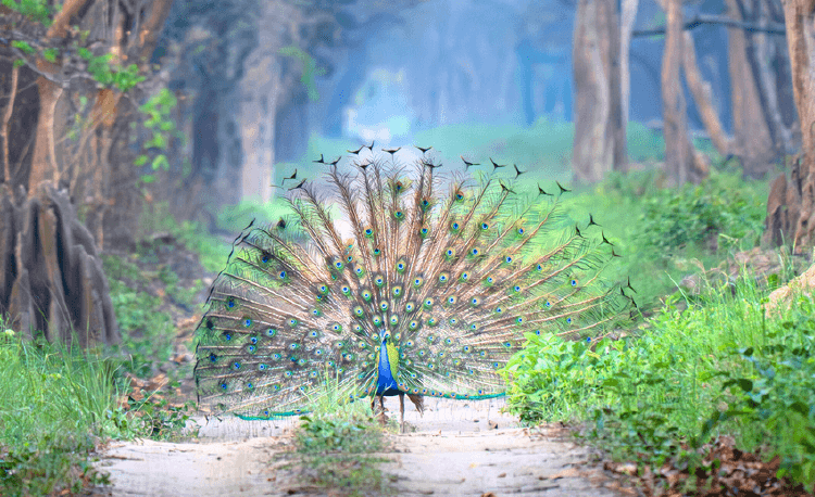 JeevanDhara
